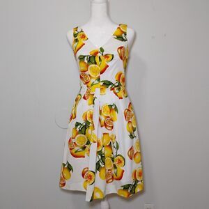 Fit And Flare Lemon Print '50s Classic Style Retro Feminine Cotton Blend Sz 0